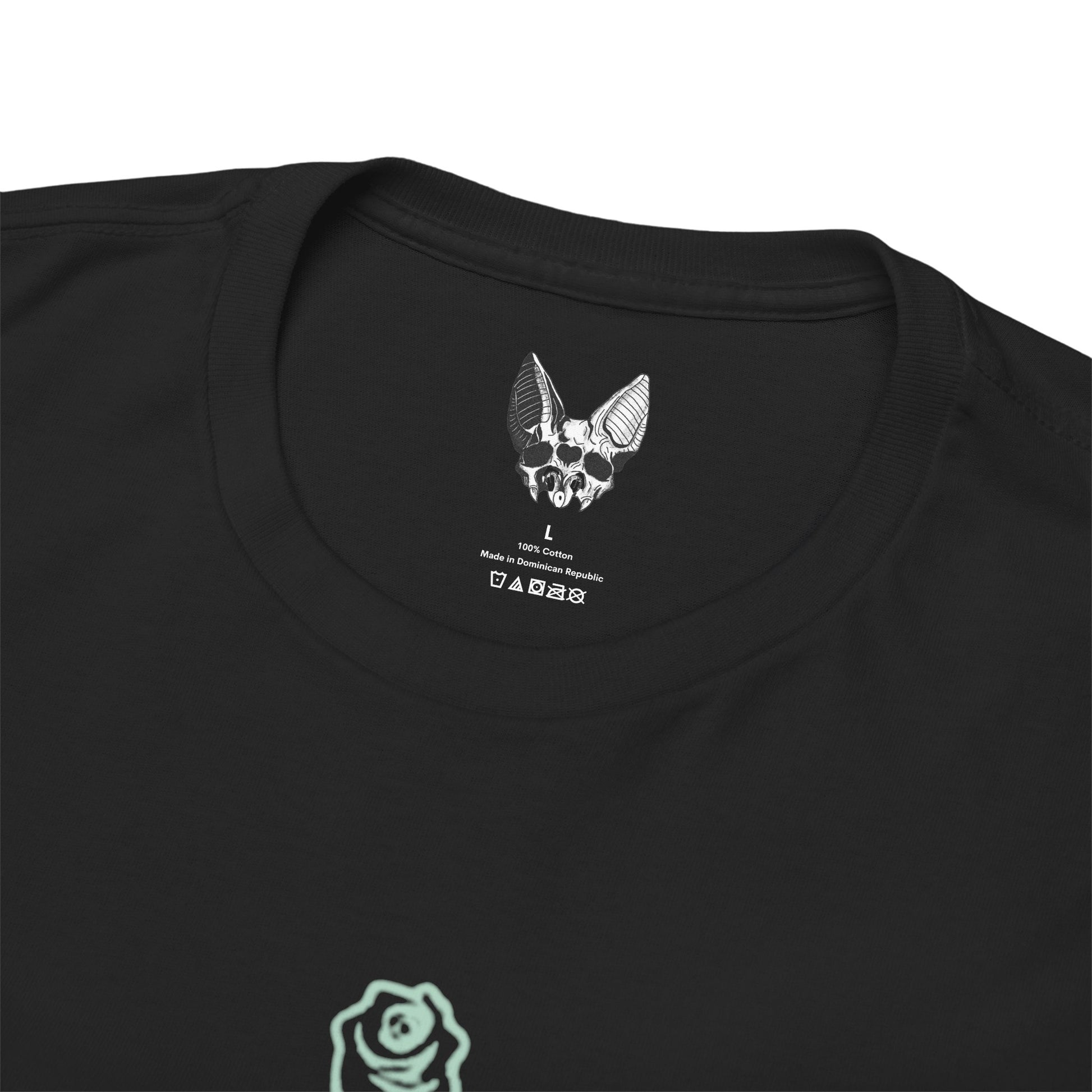 Collide with the Sky PTV | Y2K Graphic T Shirt